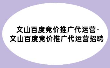 文山百度竞价推广代运营-文山百度竞价推广代运营招聘