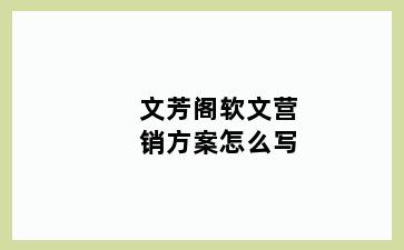 文芳阁软文营销方案怎么写