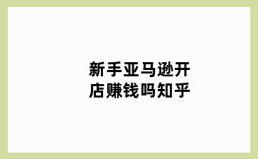 新手亚马逊开店赚钱吗知乎