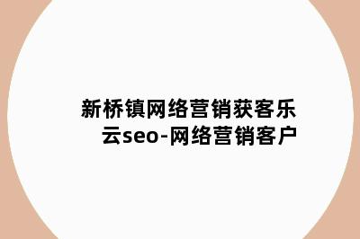 新桥镇网络营销获客乐云seo-网络营销客户