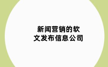 新闻营销的软文发布信息公司