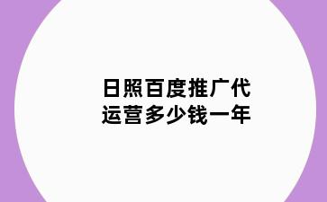 日照百度推广代运营多少钱一年