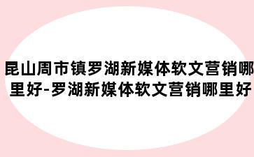 昆山周市镇罗湖新媒体软文营销哪里好-罗湖新媒体软文营销哪里好做