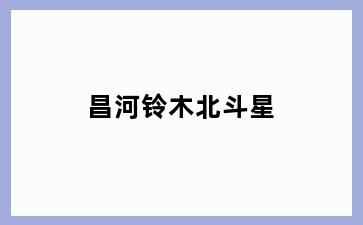 昌河铃木北斗星