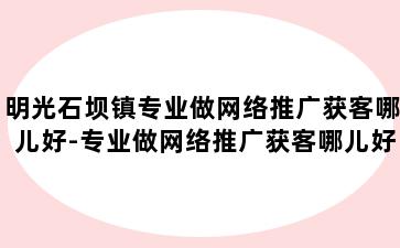 明光石坝镇专业做网络推广获客哪儿好-专业做网络推广获客哪儿好