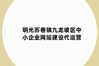 明光苏巷镇九龙坡区中小企业网站建设代运营