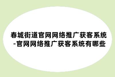 春城街道官网网络推广获客系统-官网网络推广获客系统有哪些