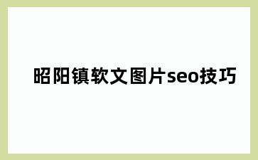 昭阳镇软文图片seo技巧