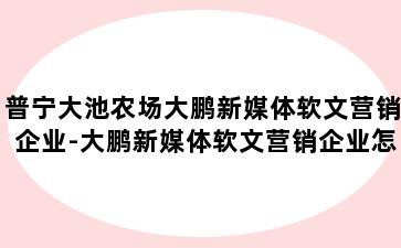 普宁大池农场大鹏新媒体软文营销企业-大鹏新媒体软文营销企业怎么样