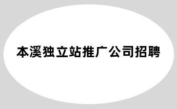 本溪独立站推广公司招聘