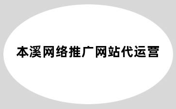 本溪网络推广网站代运营