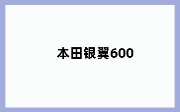 本田银翼600