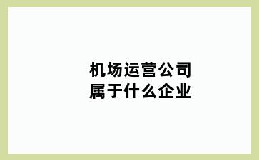 机场运营公司属于什么企业