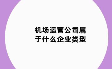 机场运营公司属于什么企业类型