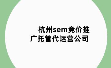 杭州sem竞价推广托管代运营公司