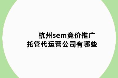 杭州sem竞价推广托管代运营公司有哪些