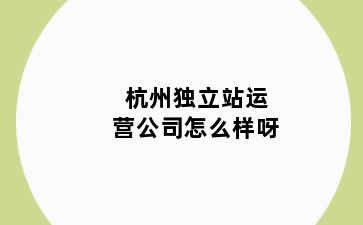 杭州独立站运营公司怎么样呀