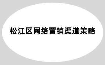 松江区网络营销渠道策略