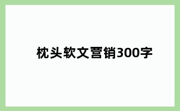 枕头软文营销300字