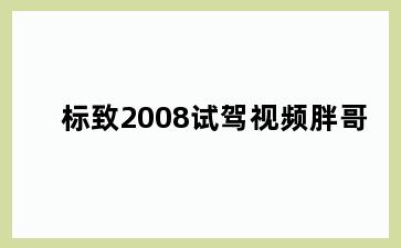 标致2008试驾视频胖哥