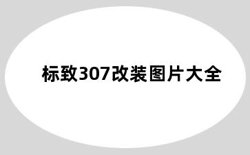 标致307改装图片大全