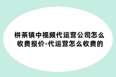 栟茶镇中视频代运营公司怎么收费报价-代运营怎么收费的