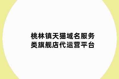 桃林镇天猫域名服务类旗舰店代运营平台