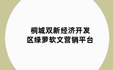 桐城双新经济开发区绿萝软文营销平台