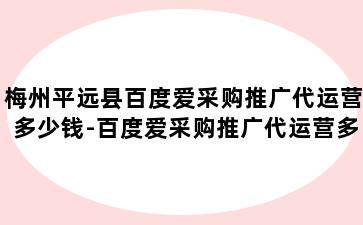 梅州平远县百度爱采购推广代运营多少钱-百度爱采购推广代运营多少钱