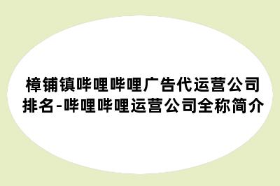 樟铺镇哔哩哔哩广告代运营公司排名-哔哩哔哩运营公司全称简介