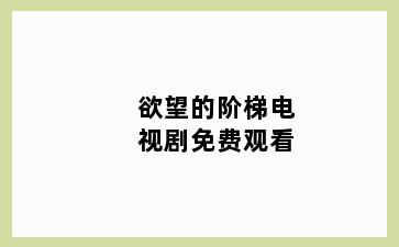 欲望的阶梯电视剧免费观看