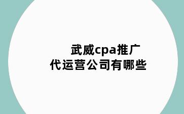 武威cpa推广代运营公司有哪些