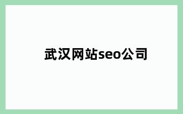 武汉网站seo公司