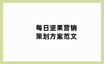 每日坚果营销策划方案范文