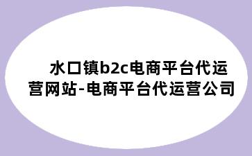 水口镇b2c电商平台代运营网站-电商平台代运营公司