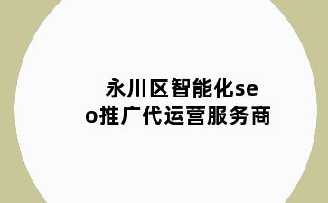 永川区智能化seo推广代运营服务商