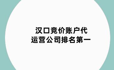 汉口竞价账户代运营公司排名第一