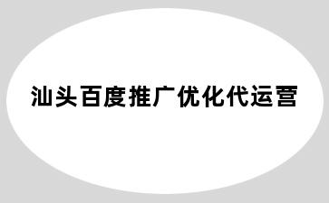 汕头百度推广优化代运营