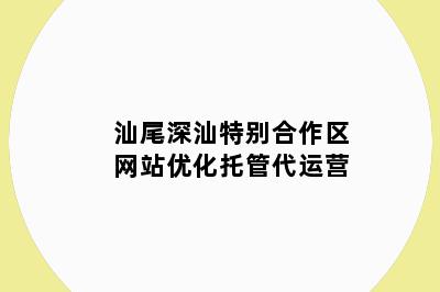 汕尾深汕特别合作区网站优化托管代运营