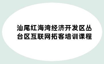 汕尾红海湾经济开发区丛台区互联网拓客培训课程