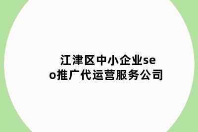 江津区中小企业seo推广代运营服务公司