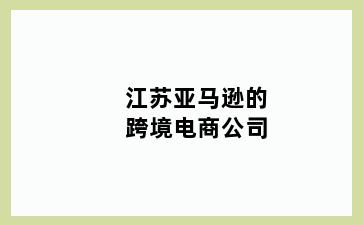 江苏亚马逊的跨境电商公司