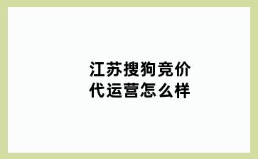 江苏搜狗竞价代运营怎么样