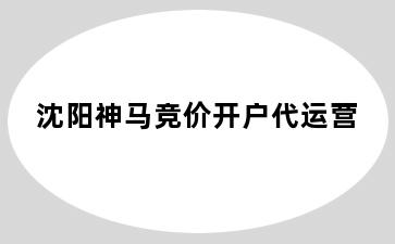 沈阳神马竞价开户代运营