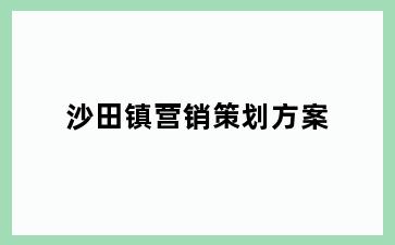 沙田镇营销策划方案