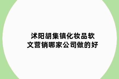 沭阳胡集镇化妆品软文营销哪家公司做的好