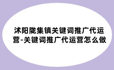 沭阳陇集镇关键词推广代运营-关键词推广代运营怎么做