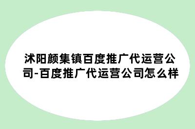 沭阳颜集镇百度推广代运营公司-百度推广代运营公司怎么样