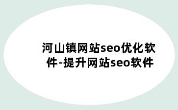 河山镇网站seo优化软件-提升网站seo软件