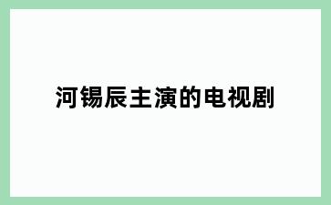 河锡辰主演的电视剧